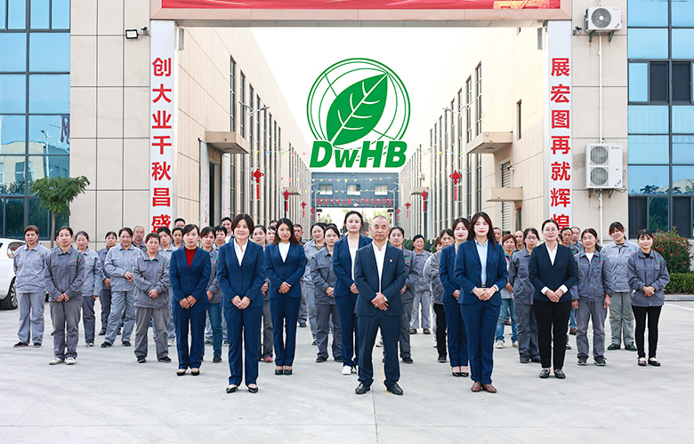 Jiangsu Dongwangin ympäristönsuojeluteknologia Group Co., Ltd.